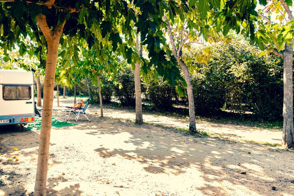 Ecològic Vinyols Camp photo 3