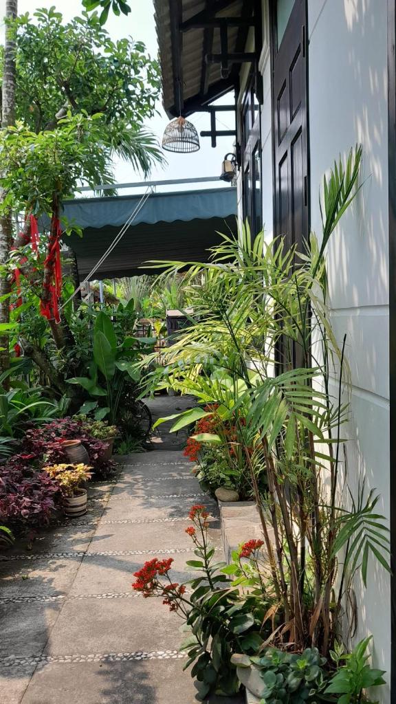 Sunny Garden Homestay