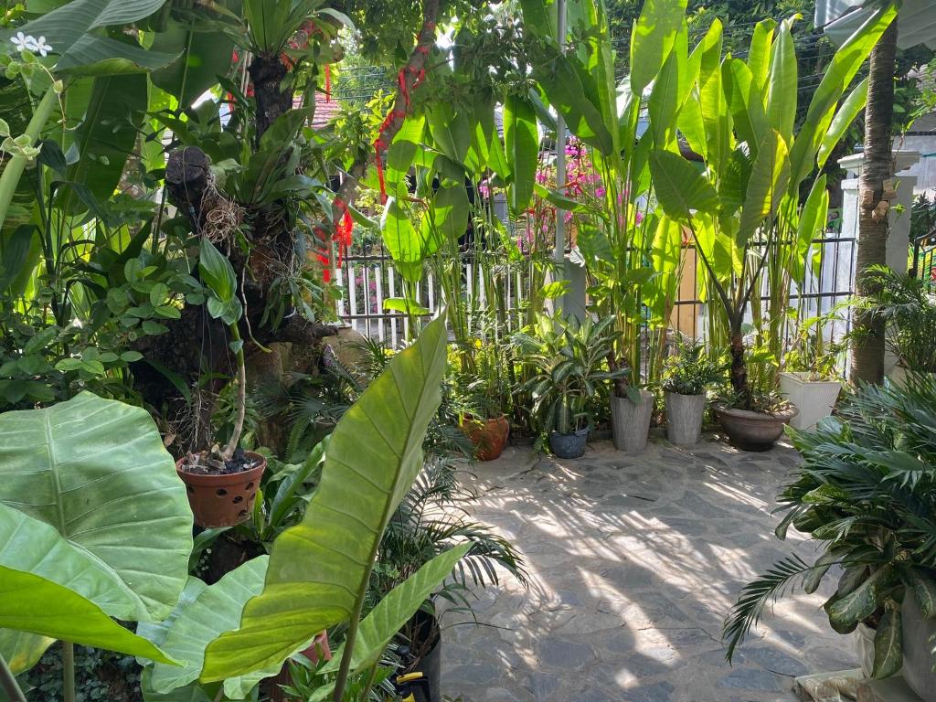 Sunny Garden Homestay