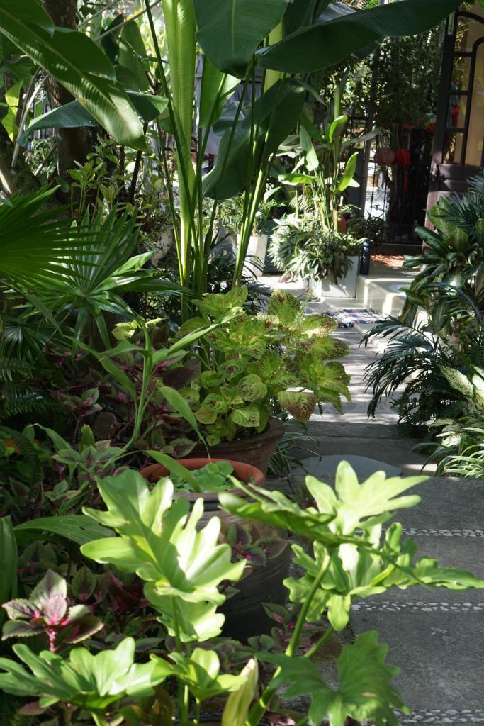 Sunny Garden Homestay