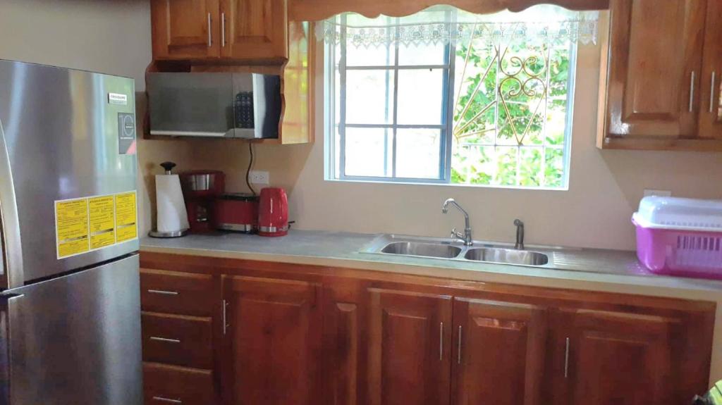 Mango tree Oasis photo 4