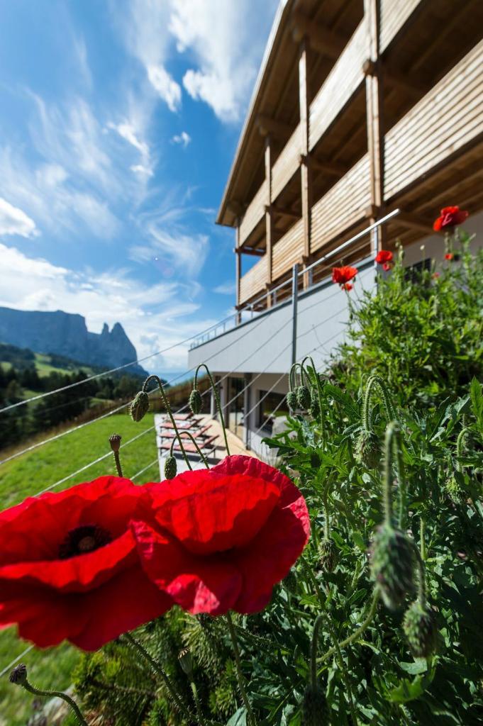 Hotel Chalet Dolomites photo 3
