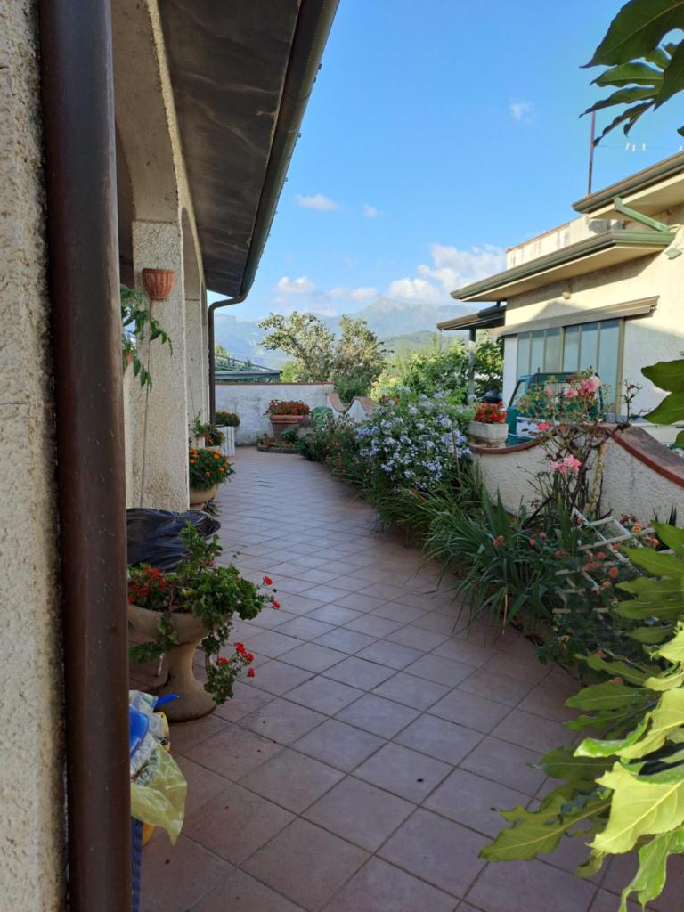 GIARDINO FIORITO photo 1