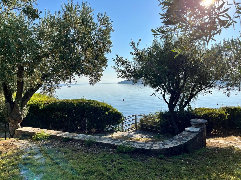 Villa Liana photo 1