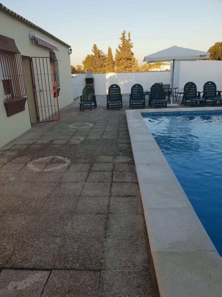 Anamar photo 3