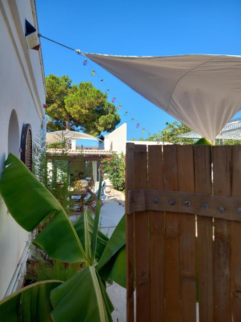 CALA PIPA photo 1