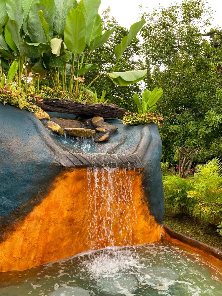 Hotel Heliconias Nature Inn & Hot Springs photo 4