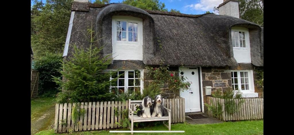 Glencroft A Fairytale Highland Cottage photo 1