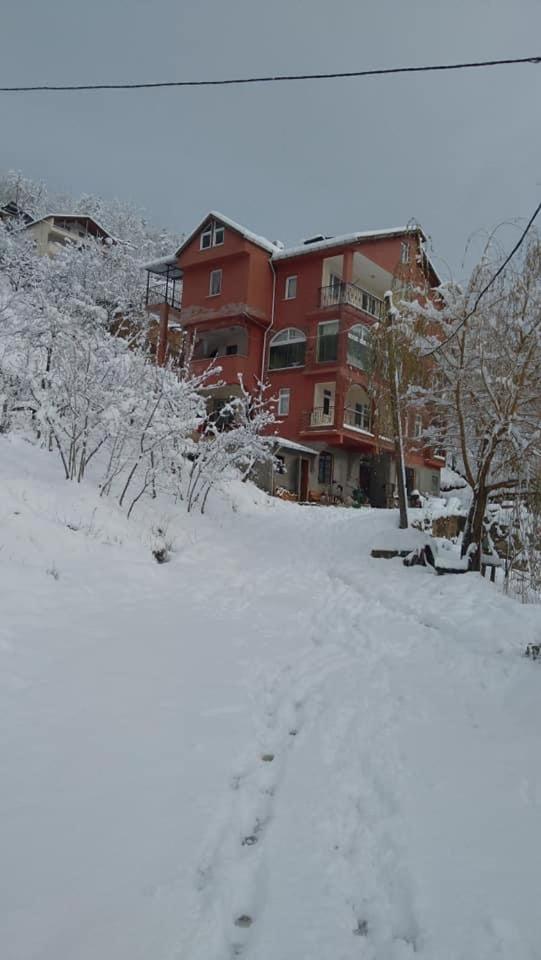 Dağ evi çaykara