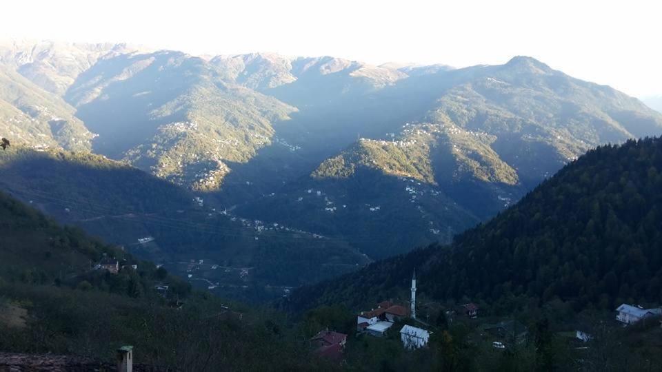 Dağ evi çaykara photo 1