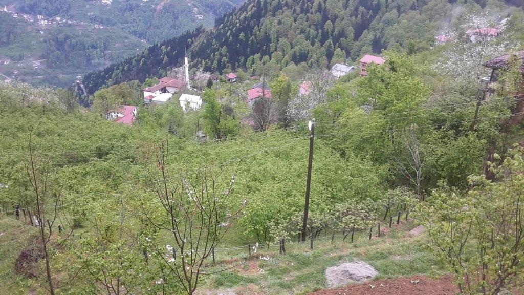 Dağ evi çaykara photo 2