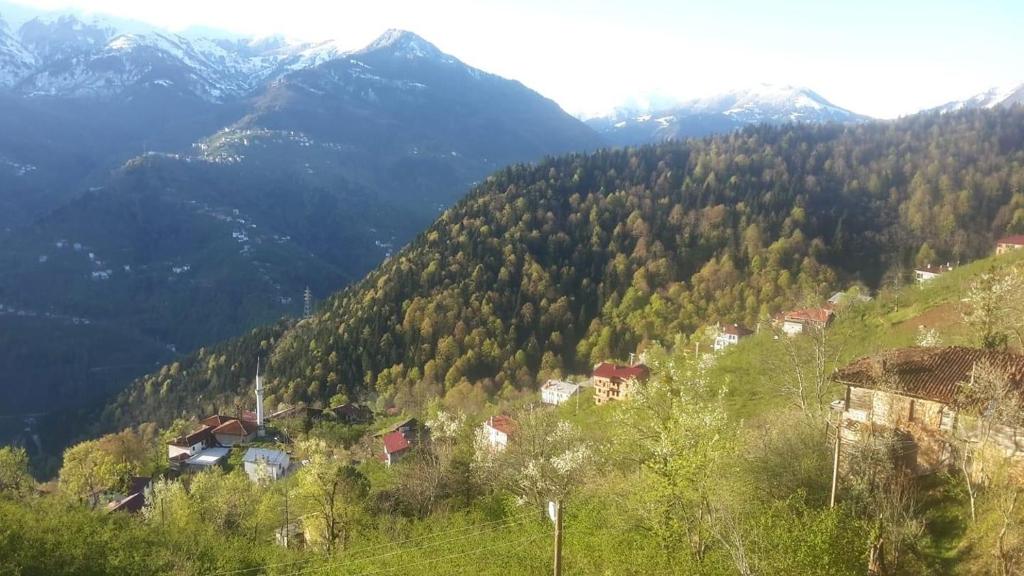 Dağ evi çaykara photo 3