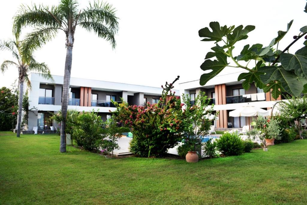 Mandalina Apartments photo 4