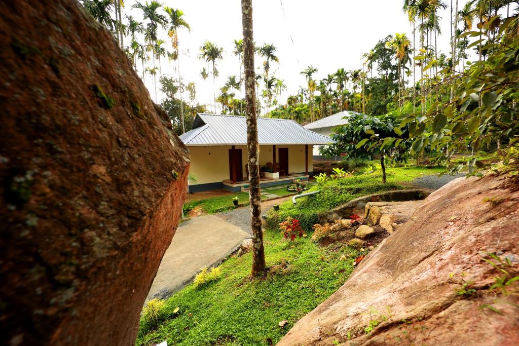 Cave Valley Wayanad photo 2