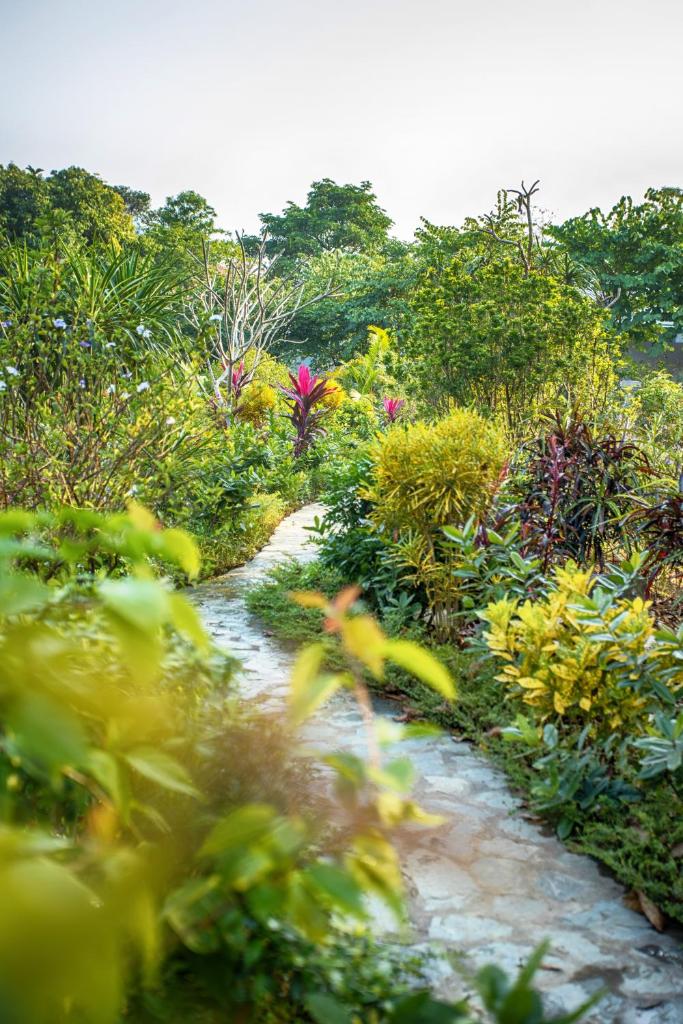HỒ ĐÁ CỔ THIÊN LONG Hoa Le