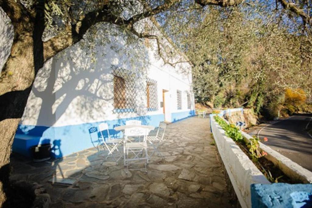 Casa Rural El Olivo. Alpujarra. photo 1