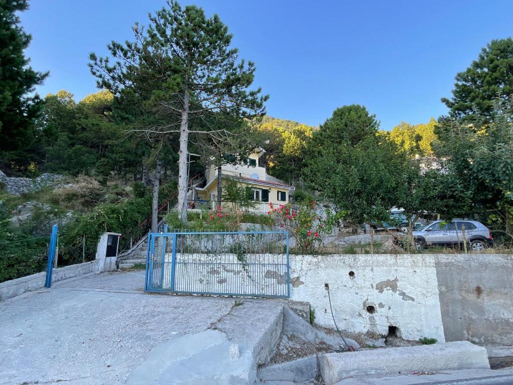 Eagle's nest photo 1