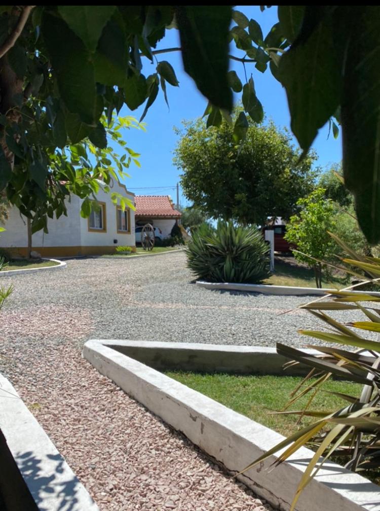La Candelaria - Casas de Campo - photo 3