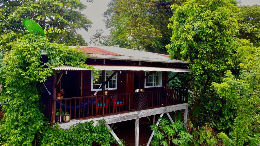 True Nature Jungle House photo 3
