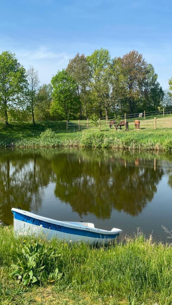 Pełnikowe Zacisze photo 1