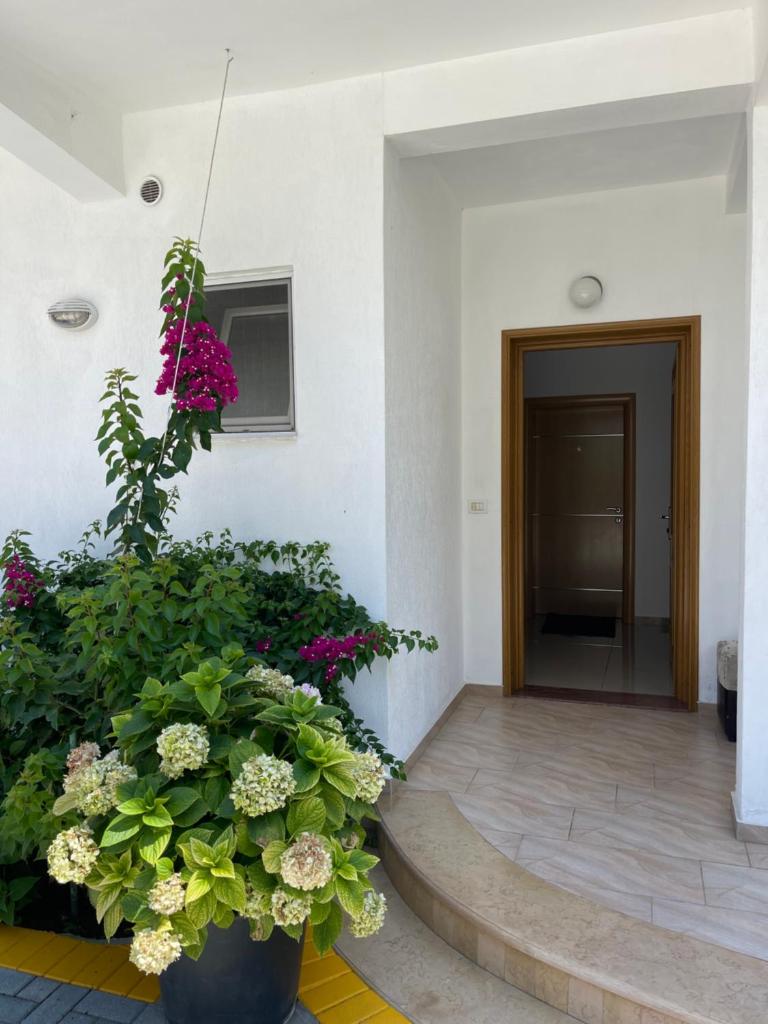 Guest House Lionel photo 4