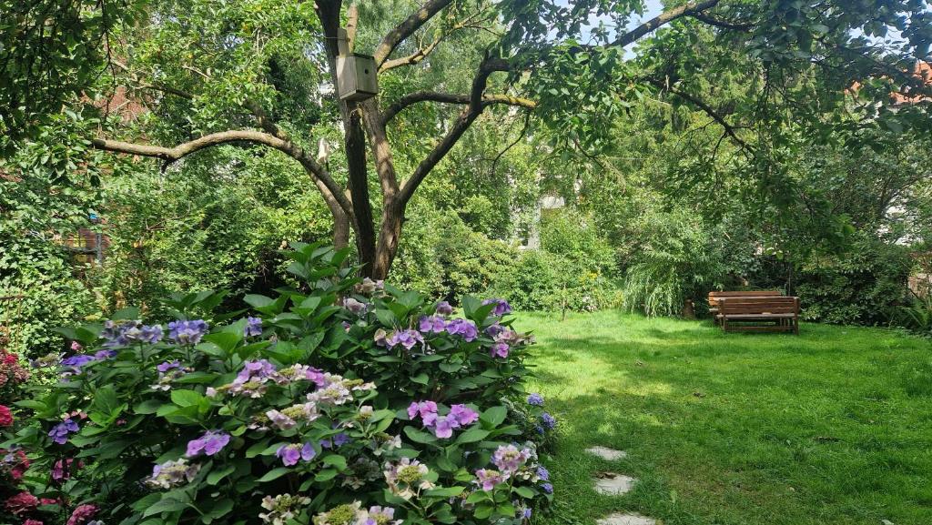 Pension Siewert photo 1