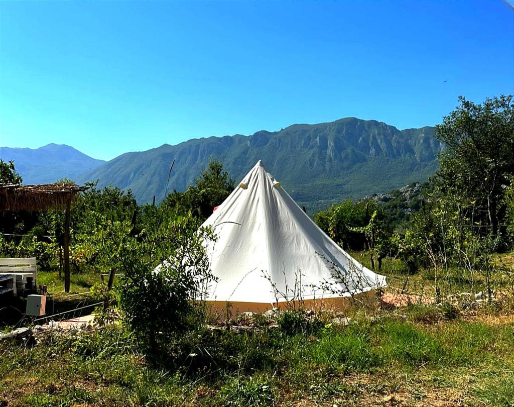 Ljubicani Village Glamping photo 4