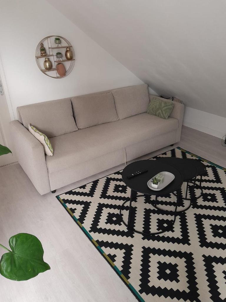 Logement convivial, charmant et spacieux photo 4