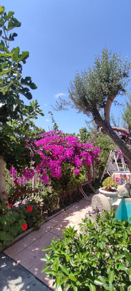 La casa di Mariù photo 3
