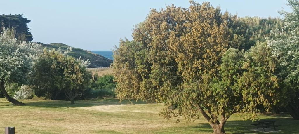 Appartement vue mer exceptionnelle à 100m très belle plage photo 2