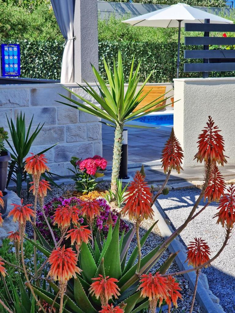 Casa Bella photo 4