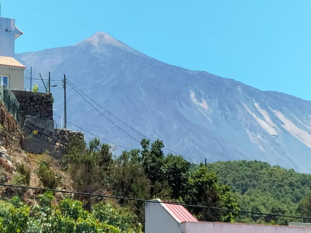 casa lipa photo 4