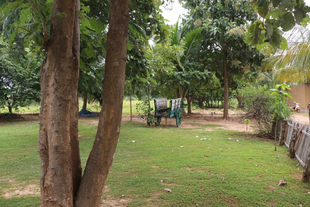 WildEscape, Yala Blocks 3 & 5 photo 4