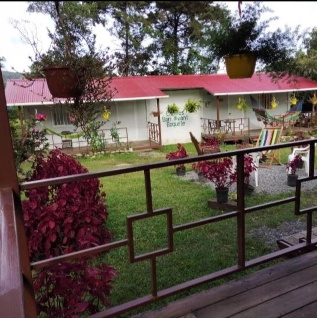 Bonvivant Boquete photo 3