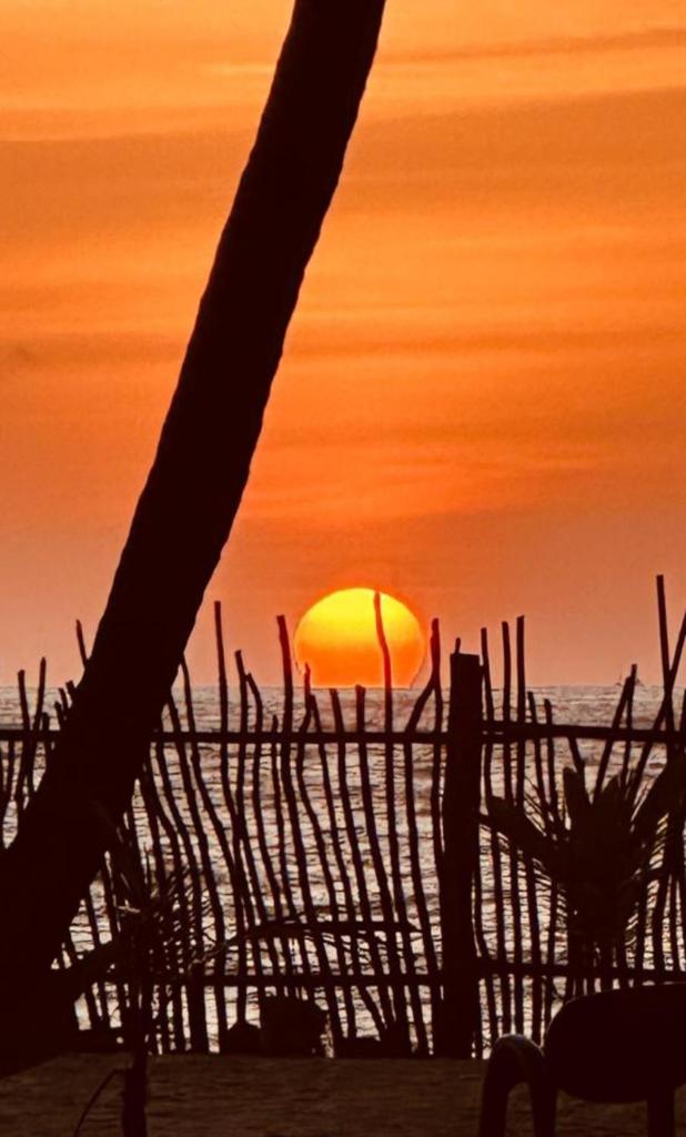 CocoVilla Boutique Resort