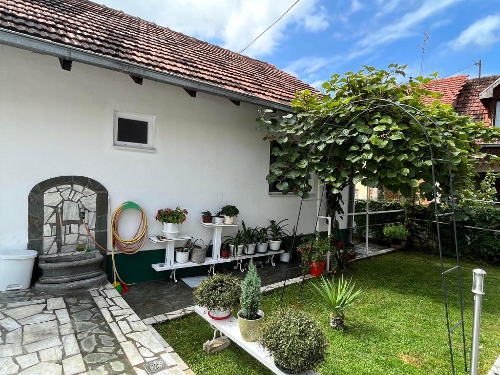 Smeštaj Pejčić photo 1