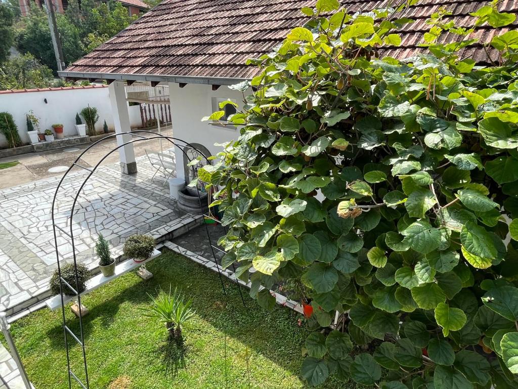Smeštaj Pejčić photo 2