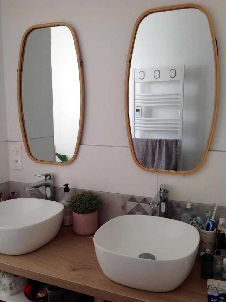 Maison en Camargue photo 3