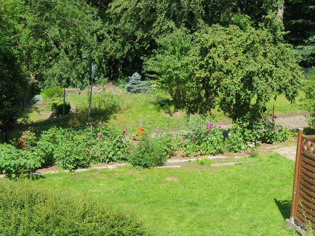 Ferienhaus in Geesthacht-Tesperhude direkt am Waldrand photo 4