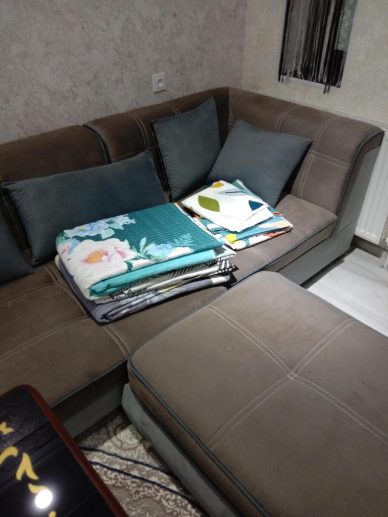 GREEN HAUS FOR YOU photo 4