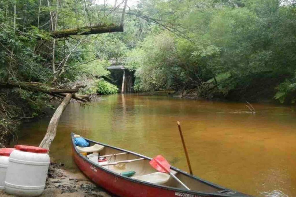 L airial du gemmeur photo 2