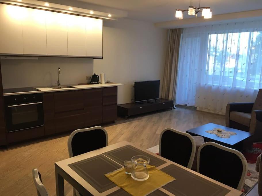 Spacious Apartment in Kintai photo 2