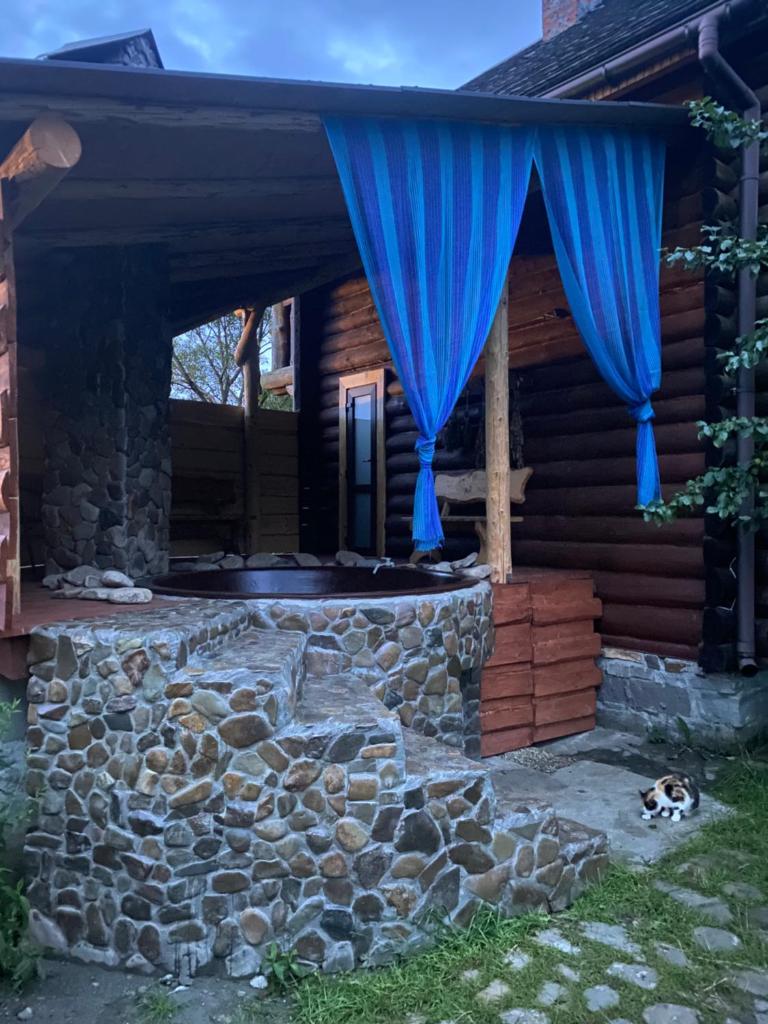 Oselia Mandrivnykiv photo 2