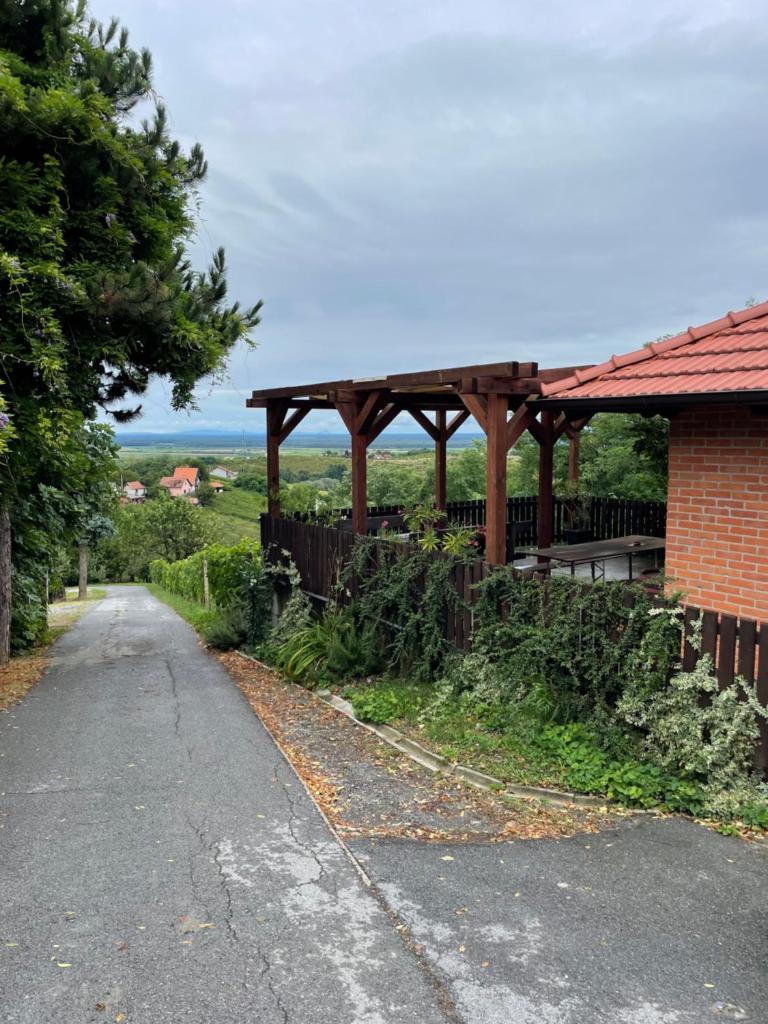 Villa Repić photo 2