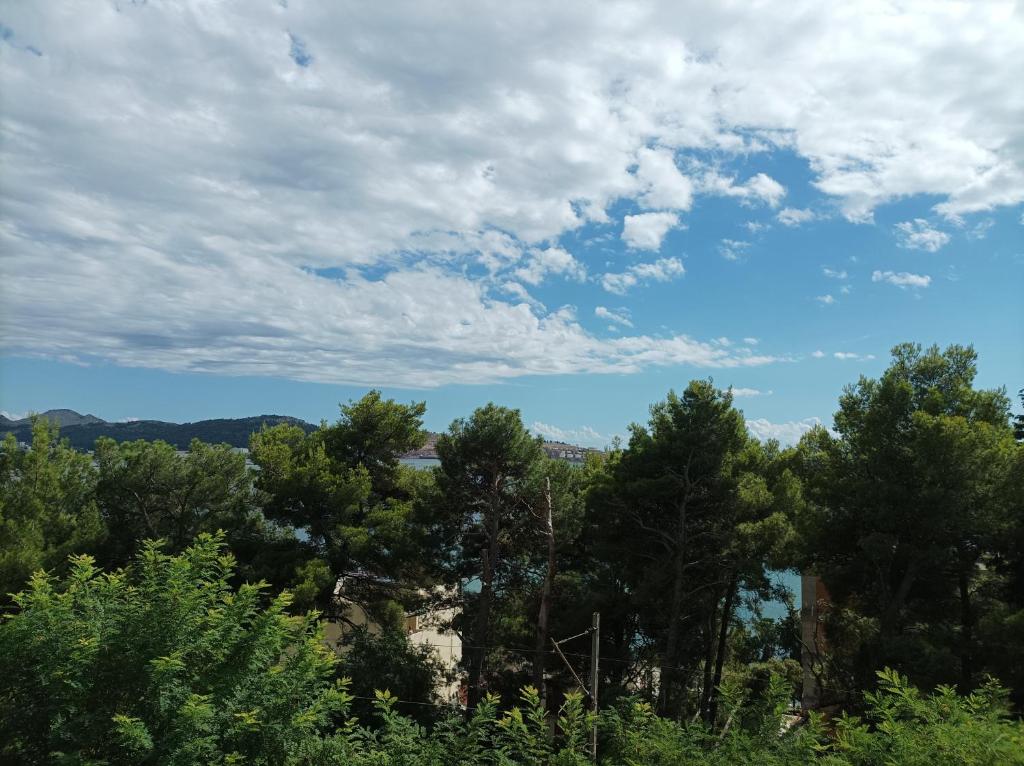 Joksimović apartmani photo 1