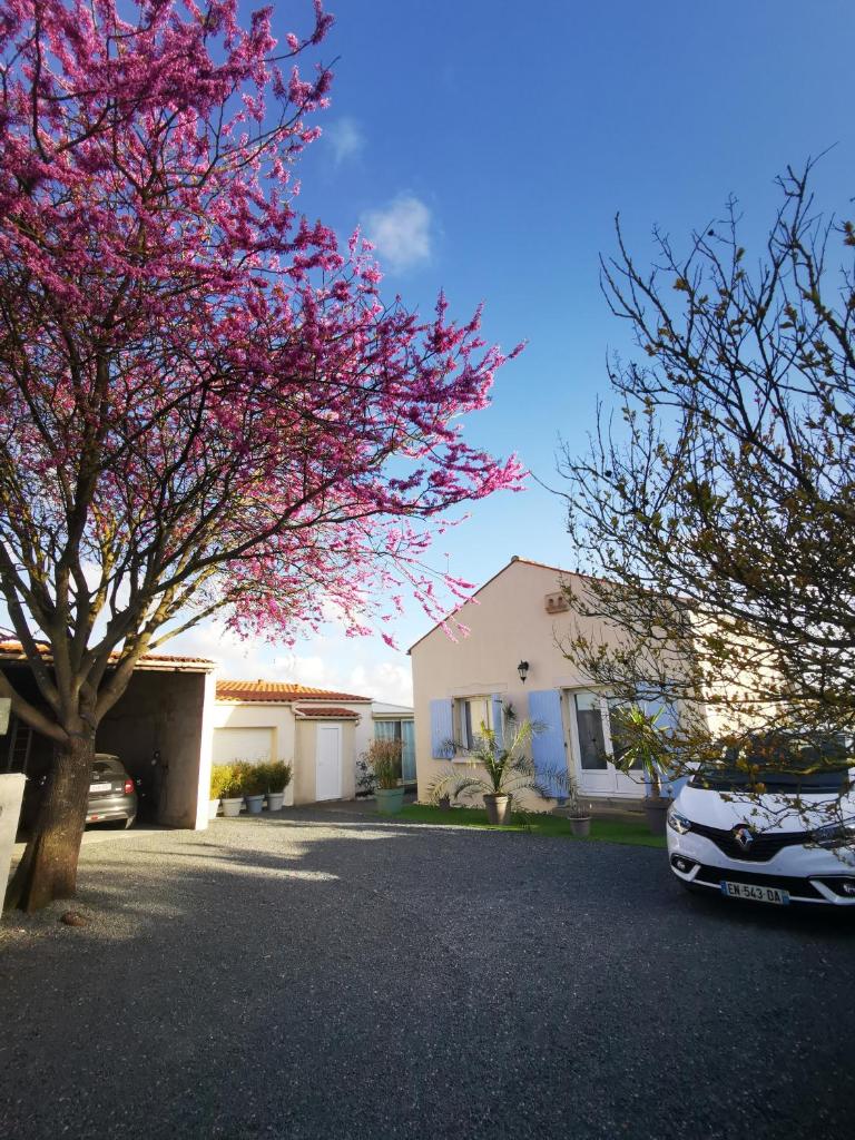 Escapade charentaise photo 1