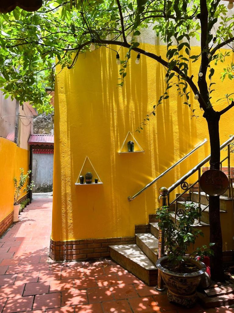 Chủ Nhật Homestay&Cafe - cơ sở 3 - 19 ngõ 194 Quán Thánh