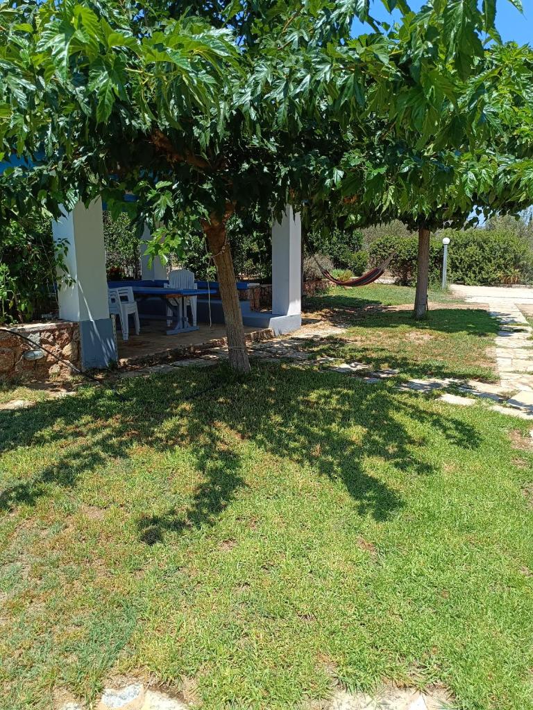 Baitani villa photo 2