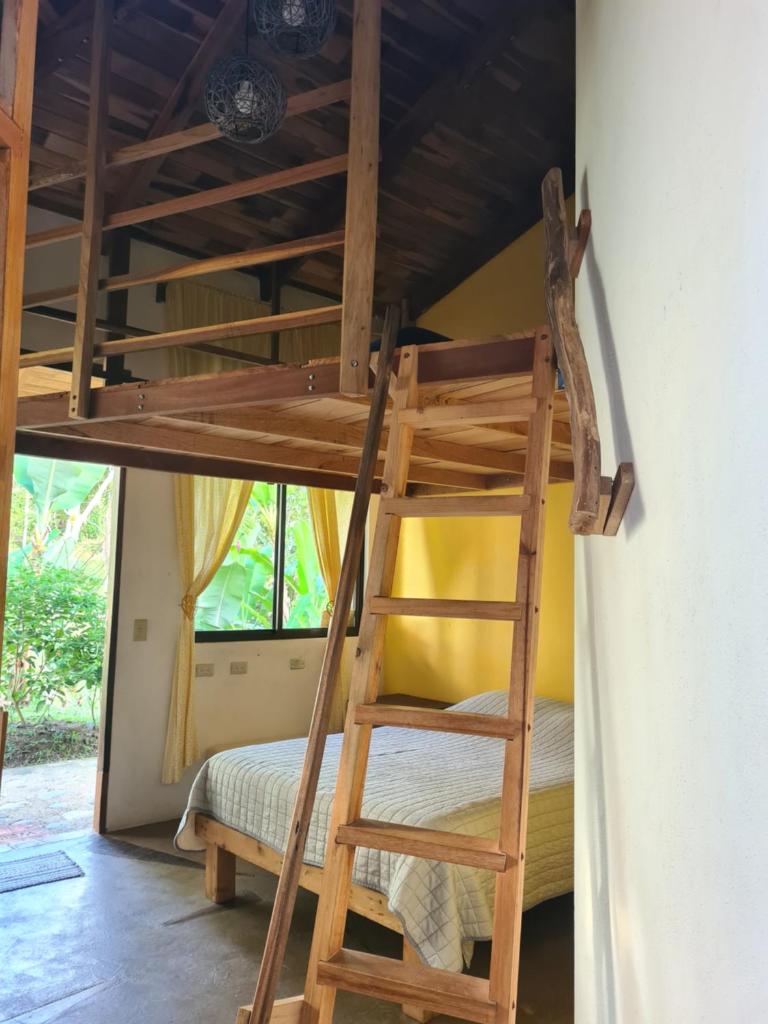 Finca Soley photo 3