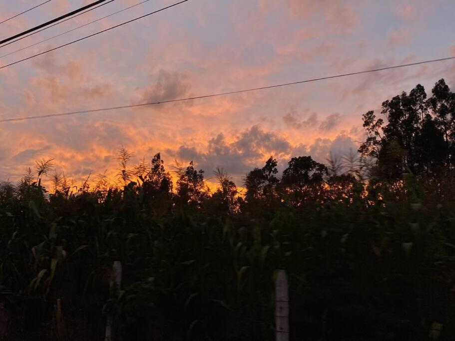 The Hideout- A Cabin in Nature; 25 min from Cuenca photo 1